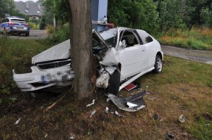 Na zdjęciu widać samochód osobowy, który wbił się w drzewo. Auto ma zgnieciony przód. W tle zdjęcia widać policyjny radiowóz.