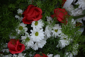 na zdjęciu kwiaty biało-czerwone