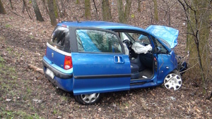 na zdjęciu rozbity niebieski samochód osobowy w rowie przy drzewie